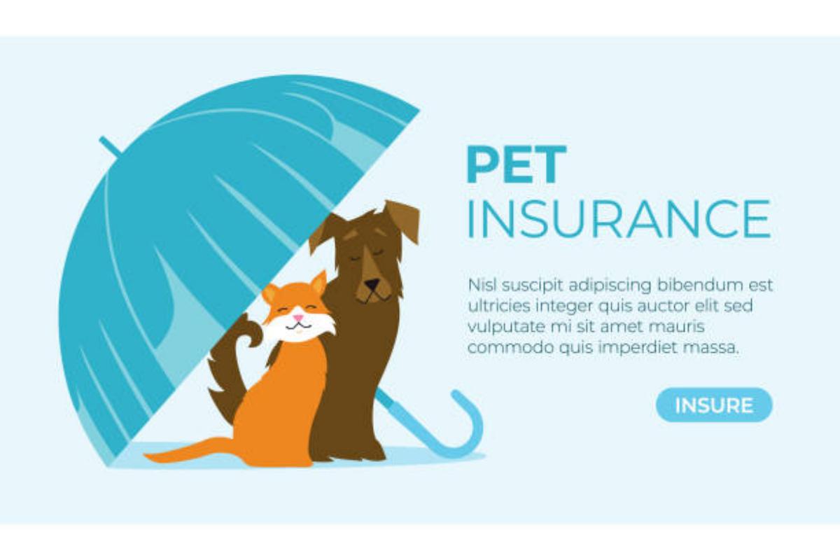 Assicurazioni per cani e gatti